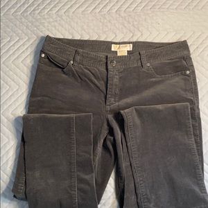 Michael Kors dark gray cords